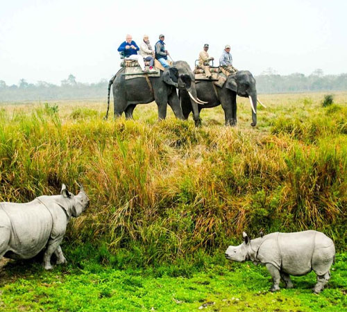 6N 7D North East Tour Package