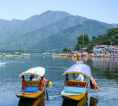 Short And Sweet Kashmir