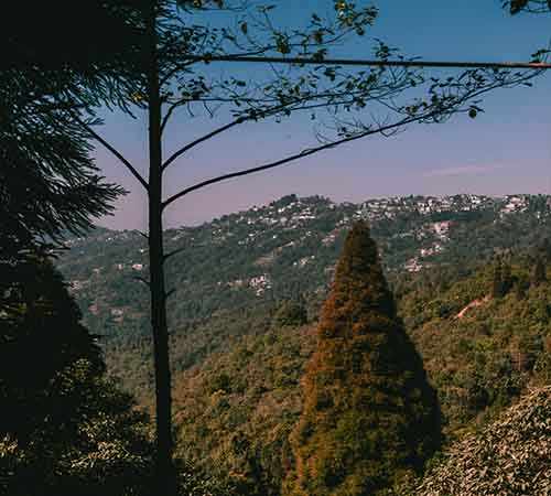 Romantic Darjeeling Honeymoon Escape